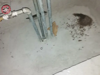 丹江口卫生间测漏水价格明细