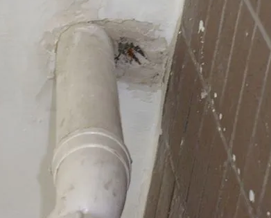 丹江口漏水检测哪家好